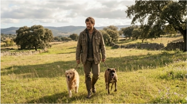 Paseos de cualquier complejidad